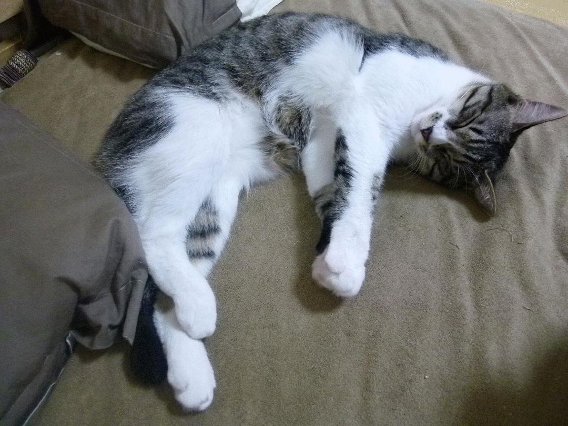 中国女篮展现团队精神 赛场表现抢眼,中国女篮的精神