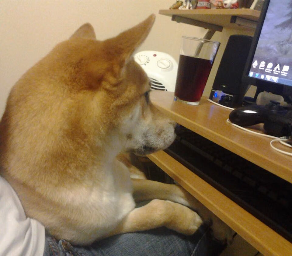 开云体育官方网站-足球梯队开始跨省合作试点区域培养，全国足球改革试点省区