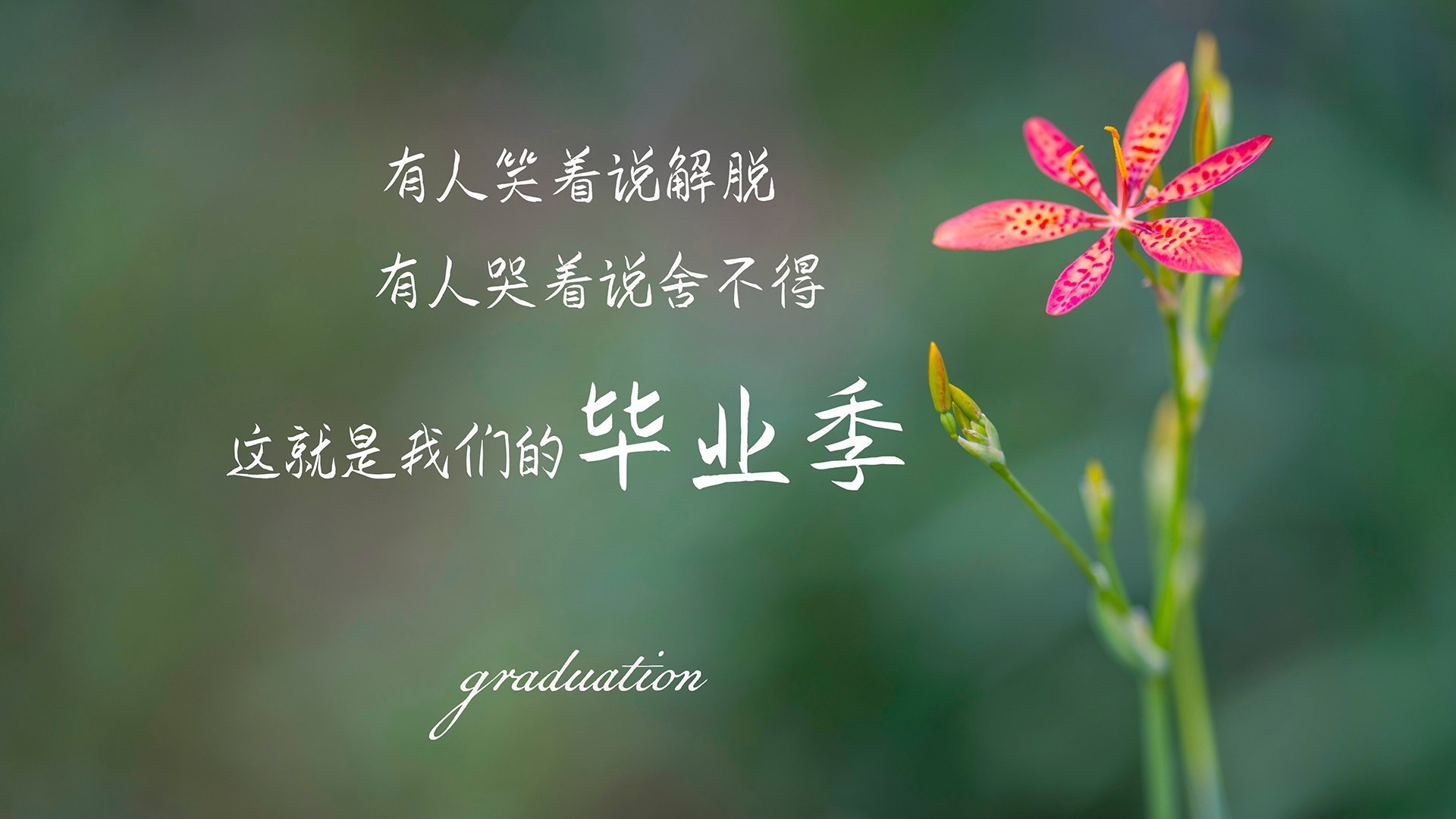 开云在线直播-世界杯天王PK：天赋与战术的完美碰撞，世界杯天才