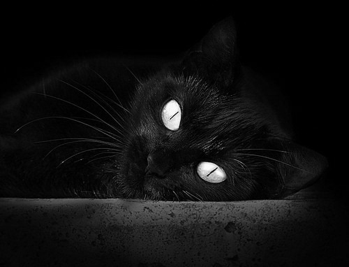 开云体育官网下载安装-中国足球国家队心理调适训练体系完善，足坛 心理实验